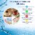 WBM Home Replacement Water Filter, Activated Carbon Filter, Purifies 99% | 2 Packs – White Perspective: bottom