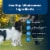 Blue Buffalo Life Protection Formula Chicken & Brown Rice Recipe Adult Dog Food Perspective: bottom