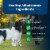 Blue™ Life Protection Formula® Lamb & Brown Rice Adult Dry Dog Food Perspective: bottom