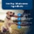 Blue Buffalo™ Life Protection Formula® Chicken & Brown Rice Senior Dog Food Perspective: bottom
