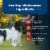 Blue™ Life Protection Formula Adult Beef and Brown Rice Recipe Natural Food for Dogs Perspective: bottom