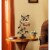 CHLOE Lighting SERENITY Victorian Tiffany-style Dark Bronze 1 Light Table Lamp 8 Perspective: bottom