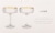 Viski Meridian Coupe Glasses Perspective: bottom
