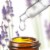 House Blend 1 oz. Essential Oil - Lavender by Obvious Perspective: bottom