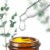 House Blend 1 oz. Essential Oil - Eucalyptus by Obvious Perspective: bottom