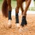 Equine Fleece Polo Leg Wraps, Set of 4 Horse Bandages, Black Perspective: bottom