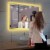 Blossom Stellar 48  Brush Gold LED Glass Mirror with Antifog Perspective: bottom