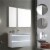 30 Inch Aluminum Bathroom Medicine Cabinet with Recess Or Surface Mount 30x26 Perspective: bottom