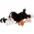 PixieCrush Shiba Inu Puppies Mommy & 4 Babies Plush Toy Gift Perspective: bottom