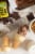Carmichael’s® Honey Organic Raw & Unfiltered Honey Perspective: bottom