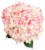 Patriotic Hydrangea Perspective: bottom