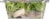 Gotham Greens® Southwest Ranch Salad Kit Perspective: bottom