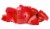 Geomag Kor Egg Covers - Red - 26-Piece Creative Magnet Cover Addition Perspective: bottom