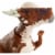 Jurassic World Attack Pack Stygimoloch Figure Perspective: bottom