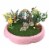 Flower Fairies Mixed Case Planter Kits For Garden, Bulk (Pack of 4) Perspective: bottom