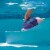 WaterTech Pool Blaster Catfish Swimming Pool Spa Compact Battery Vacuum Cleaner Perspective: bottom