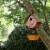 Glitzhome Hanging Distressed Solid Wood Birdhouse with Bird Bath Perspective: bottom