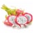 White Dragon Fruit Perspective: front