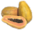 Maradol Papaya Perspective: front