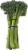 Broccolini Perspective: front