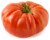 Fresh Heirloom Tomato Perspective: front