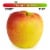 Large Ambrosia Apple - Each Perspective: front