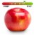 Large Rave Apple - Each Perspective: front