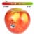 Autumn Glory Apple - Each Perspective: front
