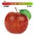 Large Kiku Apple - Each Perspective: front