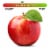 Small Red Delicious Apple – Each Perspective: front