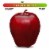 Small Red Delicious Apple – Each Perspective: front