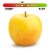 Large Golden Delicious Apple - Each Perspective: front