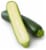 Zucchini Perspective: front