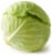 Green Cabbage Perspective: front