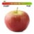 Small Fuji Apple – Each Perspective: front