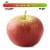 Small Fuji Apple – Each Perspective: front