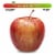 Small Gala Apple – Each Perspective: front