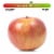 Large McIntosh Apple - Each Perspective: front