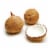 Fresh Brown Coconut Perspective: front