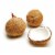 Fresh Brown Coconut Perspective: front