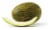 Santa Claus Melon Perspective: front