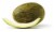 Santa Claus Melon Perspective: front