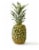 Fresh Ripe Whole Pineapple Perspective: front