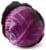 Red Cabbage Perspective: front
