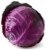 Red Cabbage Perspective: front