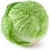 Green Savoy Cabbage Perspective: front