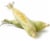 Corn on the Cob Perspective: front