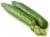 English Cucumber Perspective: front