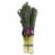 Leeks-Order by the Bunch (2-3 leeks per bunch) Perspective: front