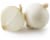 White Onions Perspective: front
